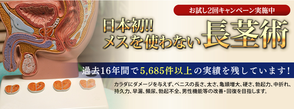 ヘッダー画像2